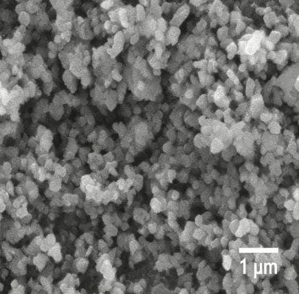 Atomfair Scandia-Ceria Stabilized Zirconia (TZSC-11V) Electrolyte Powder