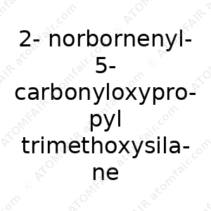 2-norbornenyl-5-carbonyloxypropyl trimethoxysilane (CAS: N/A)