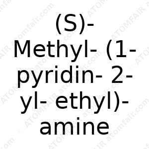 (S)-Methyl-(1-pyridin-2-yl-ethyl)-amine (CAS: N/A)