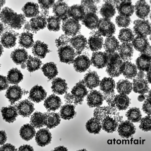 Hollow Mesoporous TiO2 Nanoparticles 200–260nm ATOMFAIR®