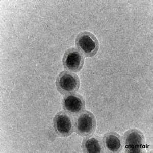 SiO2-Coated Upconverting Nanoparticles 50 mg ATOMFAIR®